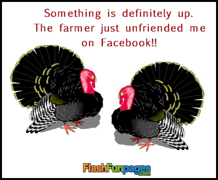 funny Thanksgiving ecard | Ecards for Facebook